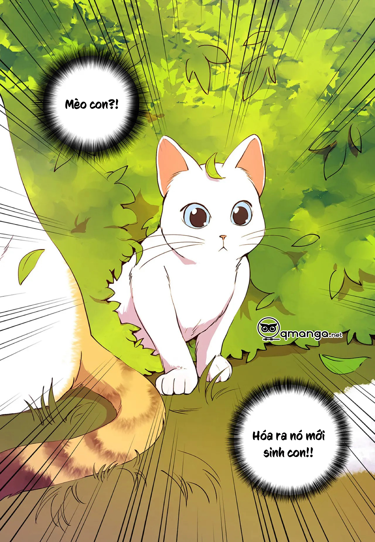 Ngọt Ngào Dành Cho Em Chapter 5 - Trang 12