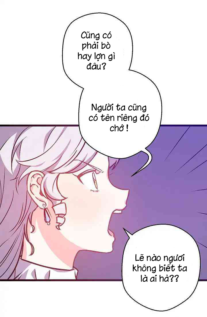 Hôn Lễ Phục Thù Chapter 4 - Trang 16