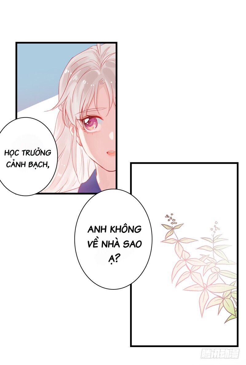 Thư Tay Tình Yêu Của Sơ Hạ Chapter 4 - Trang 12