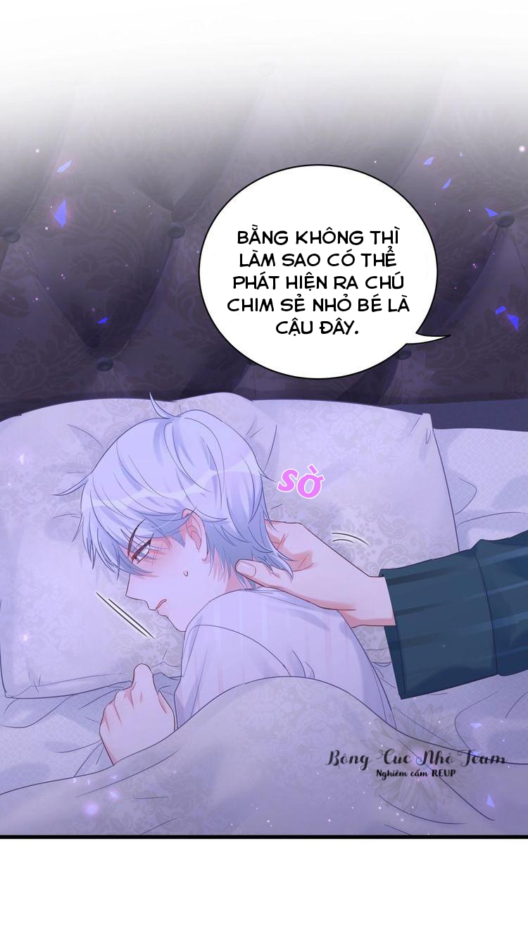 Chim Hoàng Yến Bị Chính Mình Trói Buộc Chapter 2 - Trang 27