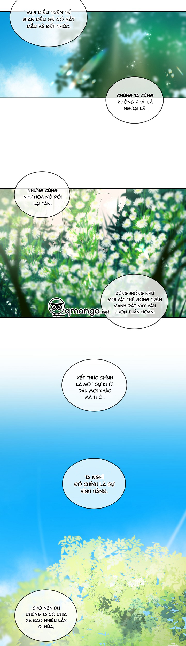 Ever Green Chapter 41 - End - Trang 28