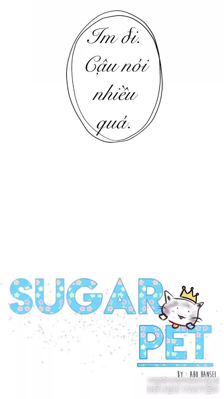 Sugar Pet Chapter 16 - Trang 17