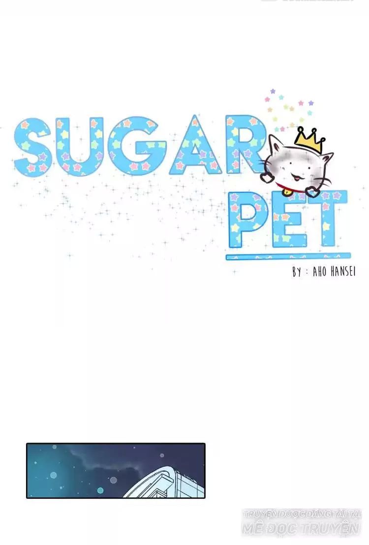 Sugar Pet Chapter 17 - Trang 1