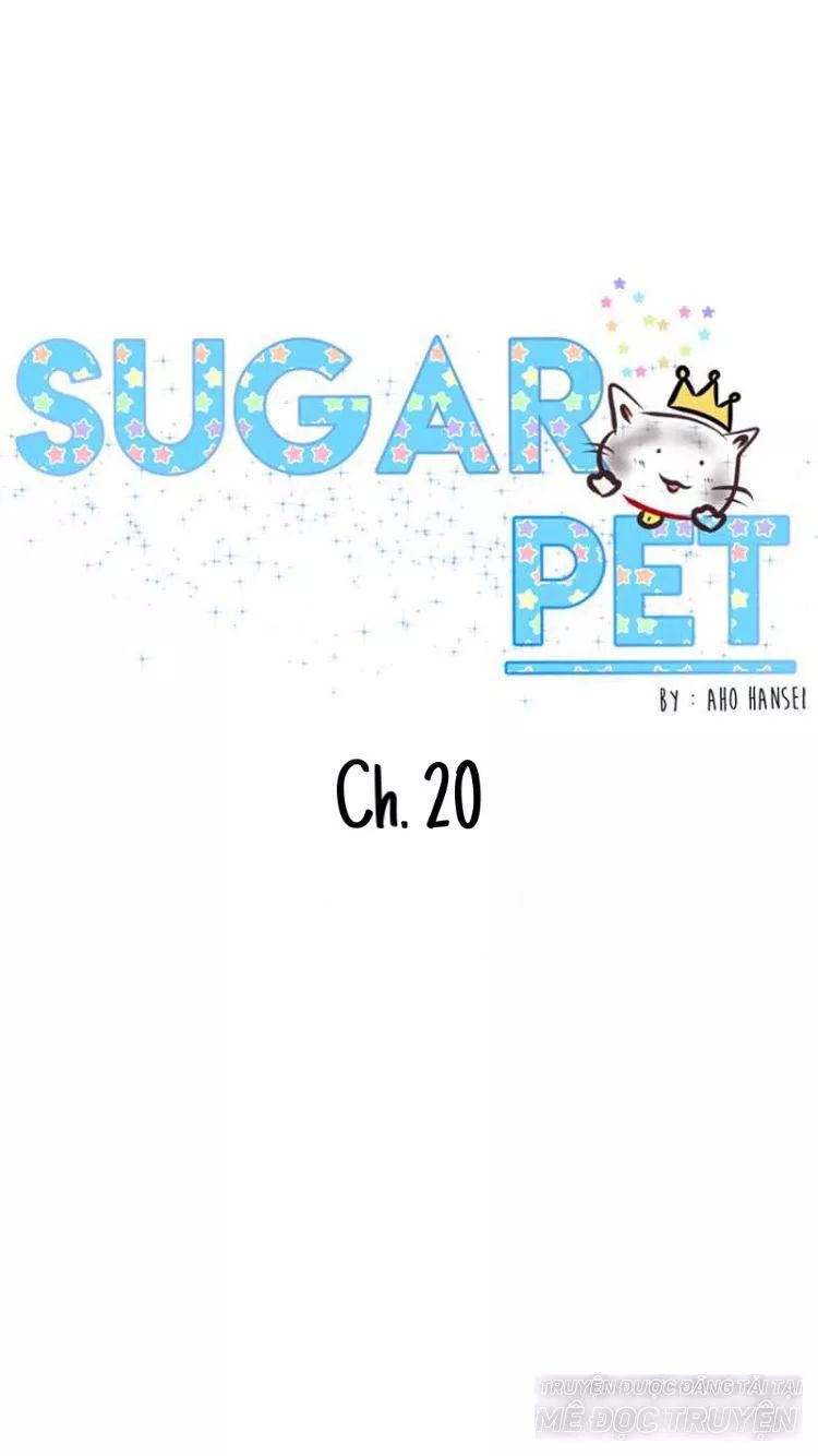 Sugar Pet Chapter 20 - Trang 1