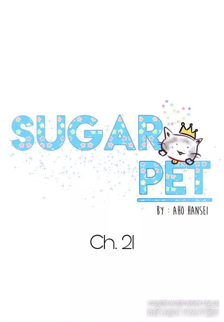 Sugar Pet Chapter 21 - Trang 26