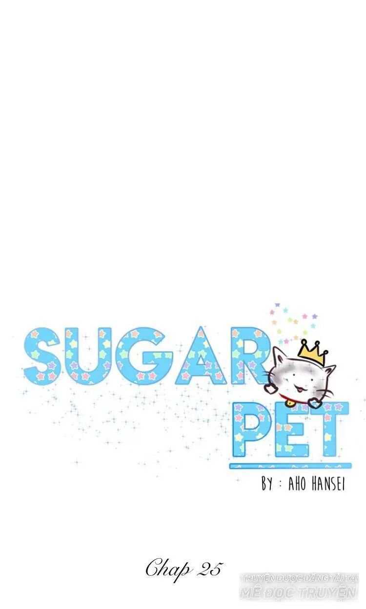 Sugar Pet Chapter 25 - Trang 11