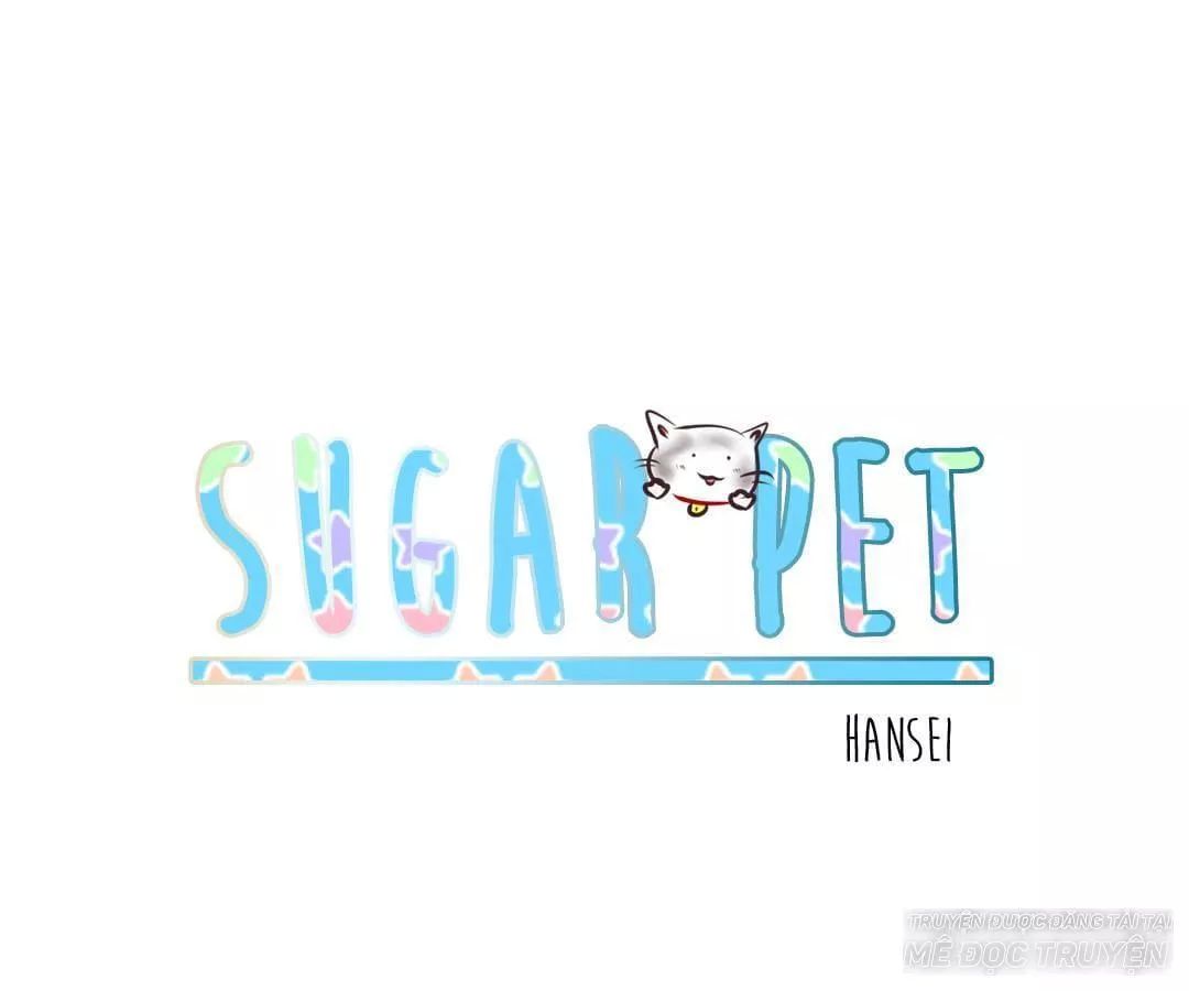 Sugar Pet Chapter 3 - Trang 1