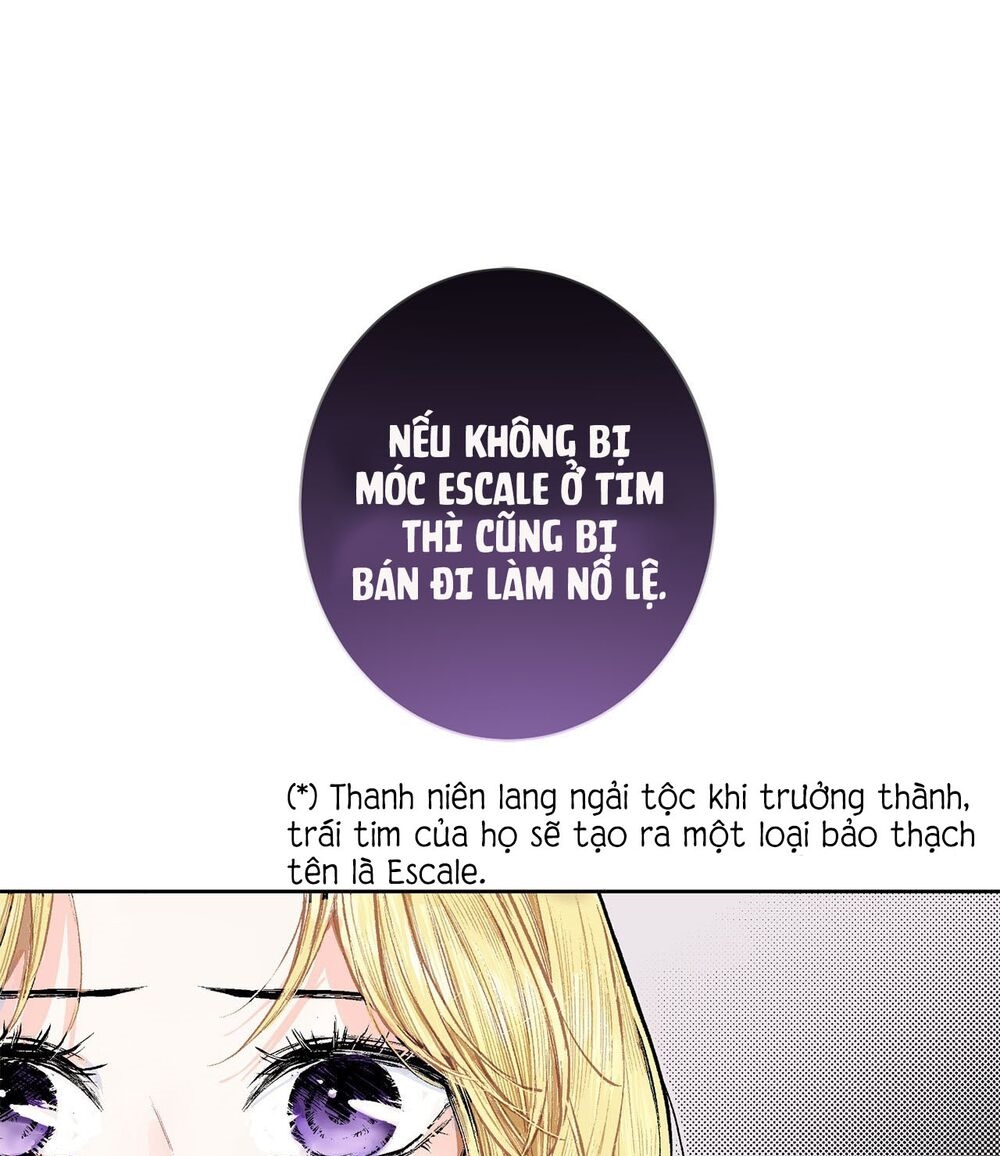 Cuộc Phản Công Của Nàng Hầu Chapter 3 - Trang 24