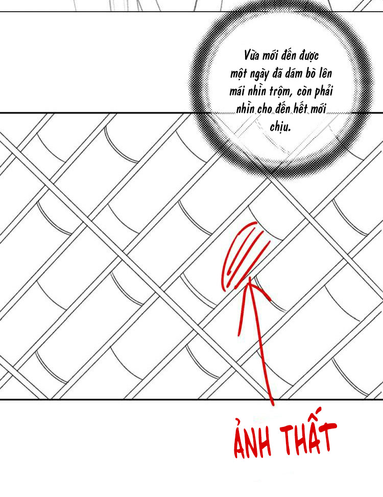 Tuân Mệnh Chapter 4 - Trang 39