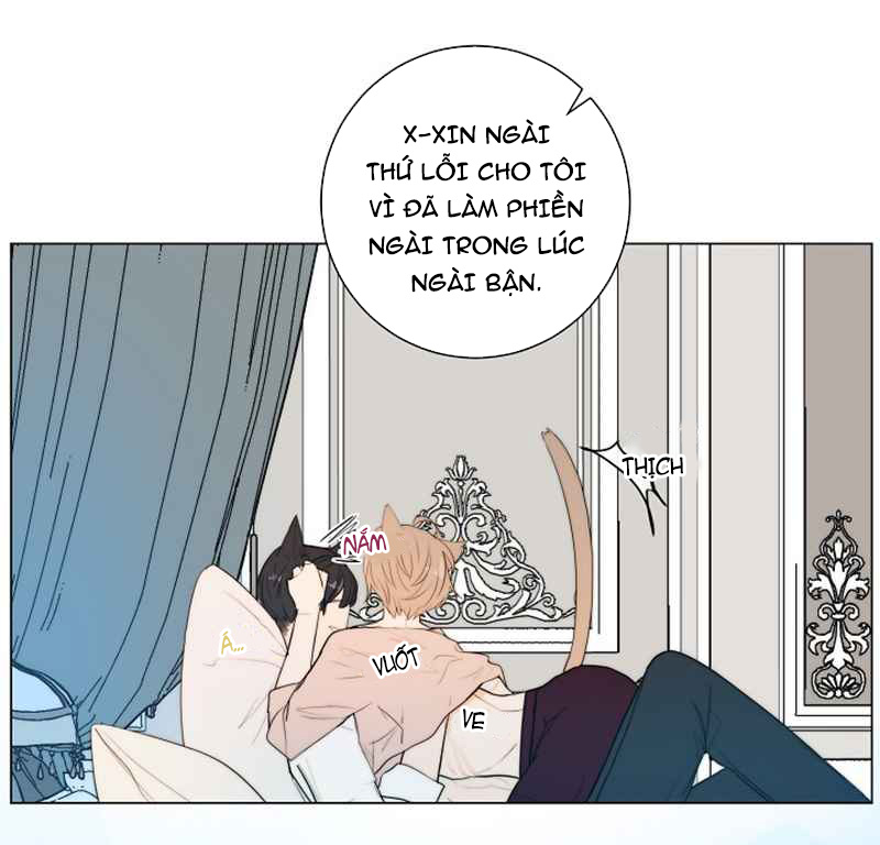 Từ Bây Giờ, Tôi Sẽ Là Chó Của Anh Chapter 13 - Trang 27