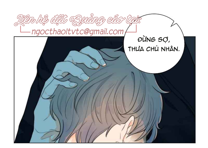 Từ Bây Giờ, Tôi Sẽ Là Chó Của Anh Chapter 15 - Trang 31