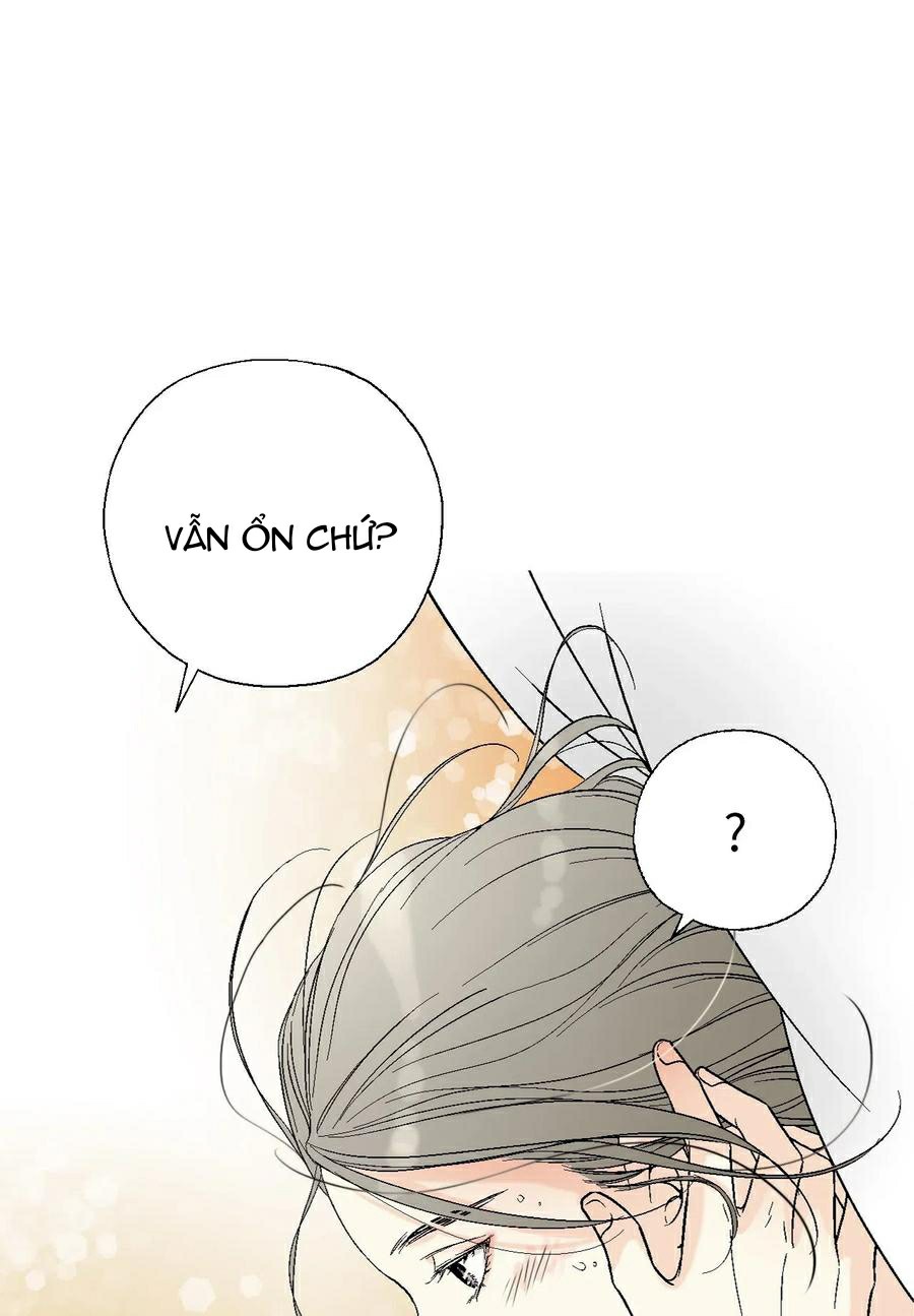 Hoa Vũ Dao Chapter 43 - Trang 14