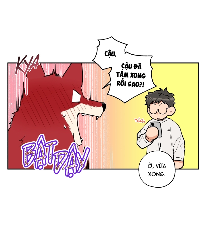 Gâu Gâu! Chapter 19 - Trang 31