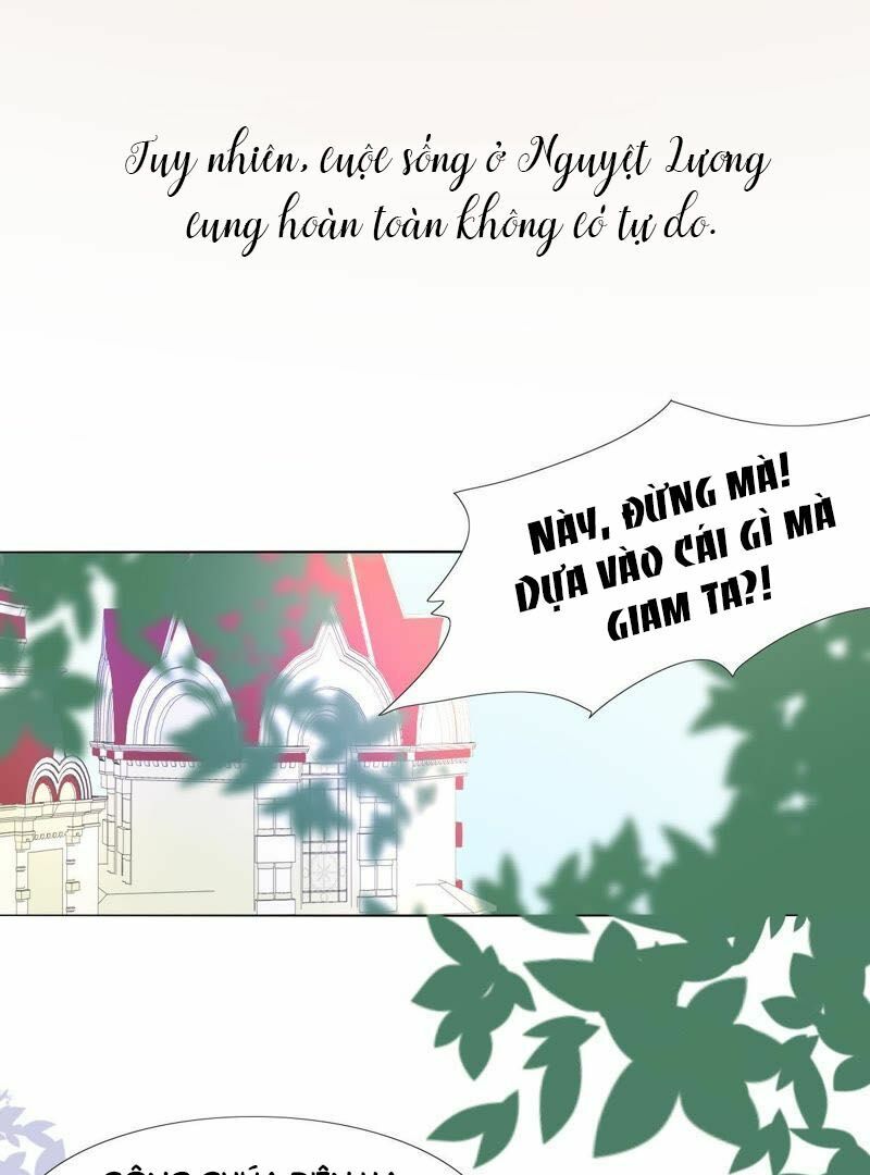 Quốc Vương Cứ Muốn Lấy Mạng Tôi Chapter 5 - Trang 19