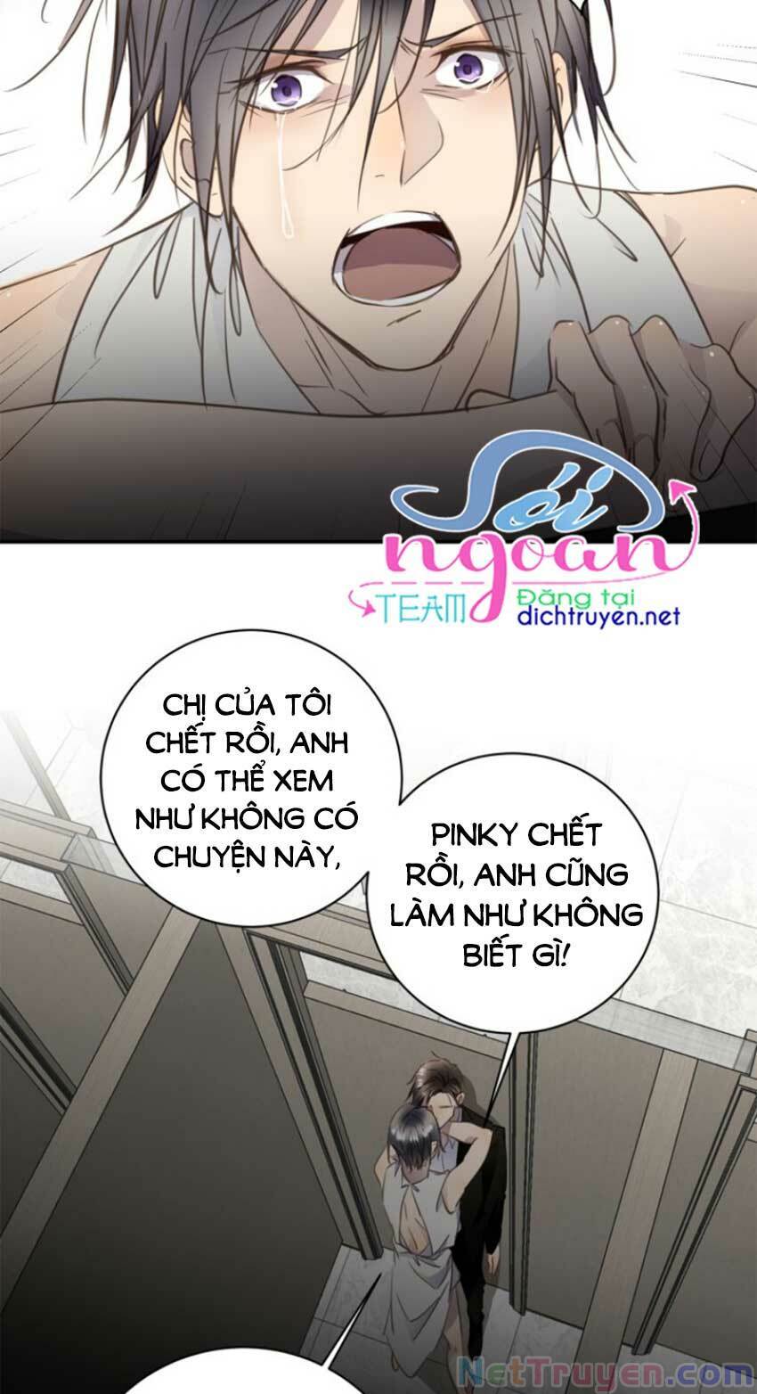 Tiên Sinh Nói Dối Chapter 26 - Trang 12