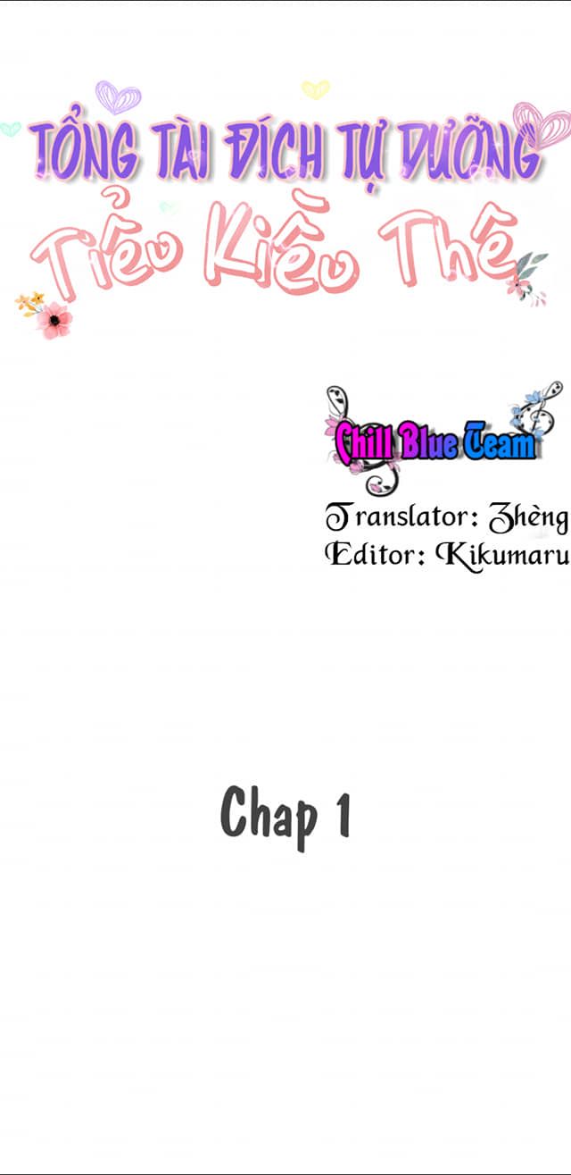 Tổng Tài Đích Tự Dưỡng Tiểu Kiều Thê Chapter 1 - Trang 3