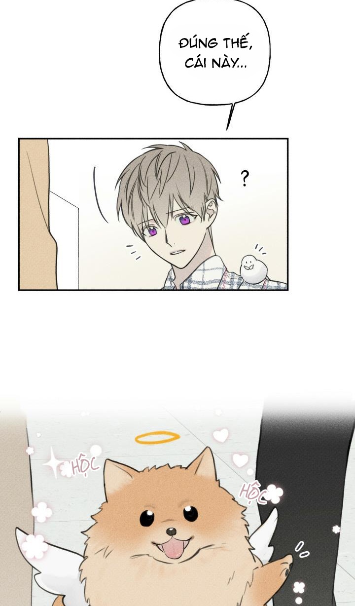 Anh Bạn Thiên Thần Chapter 63 - Trang 4