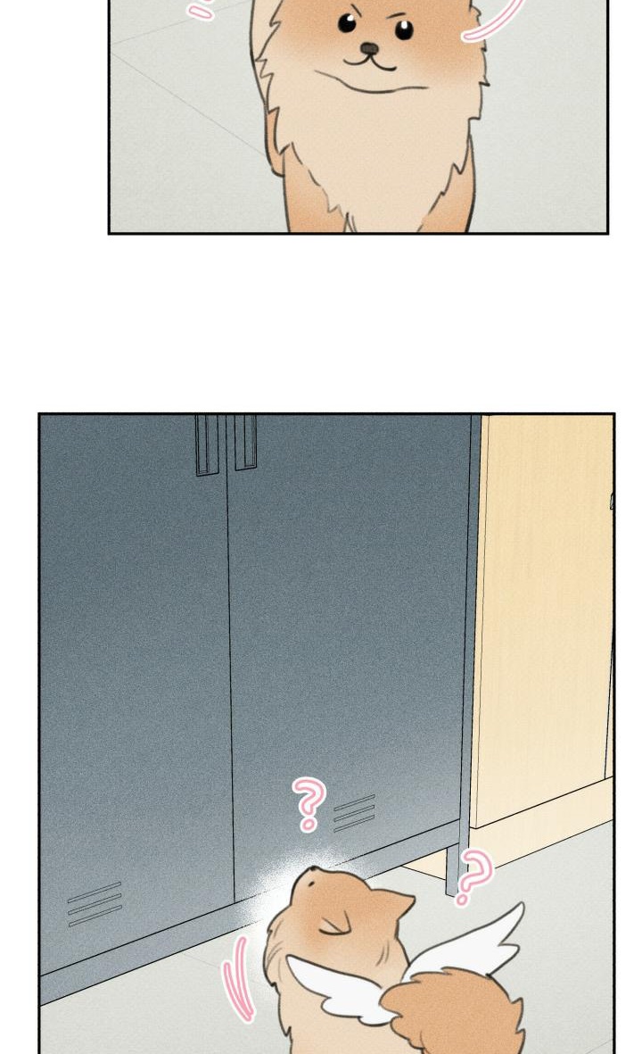 Anh Bạn Thiên Thần Chapter 63 - Trang 53