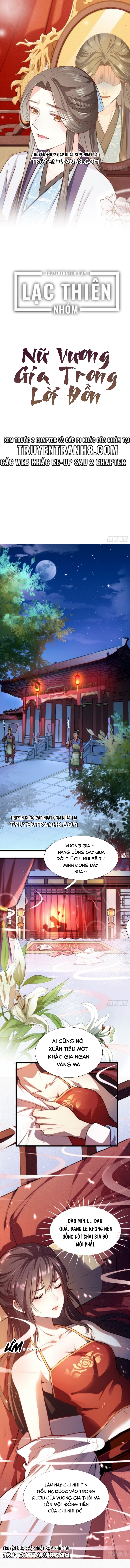 Nữ Vương Gia Trong Lời Đồn Chapter 2 - Trang 2