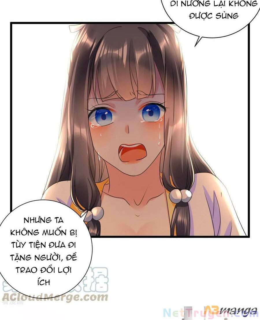 Phượng Quy Triều: Lãnh Vương Thịnh Sủng Pháp Y Phi Chapter 19 - Trang 12