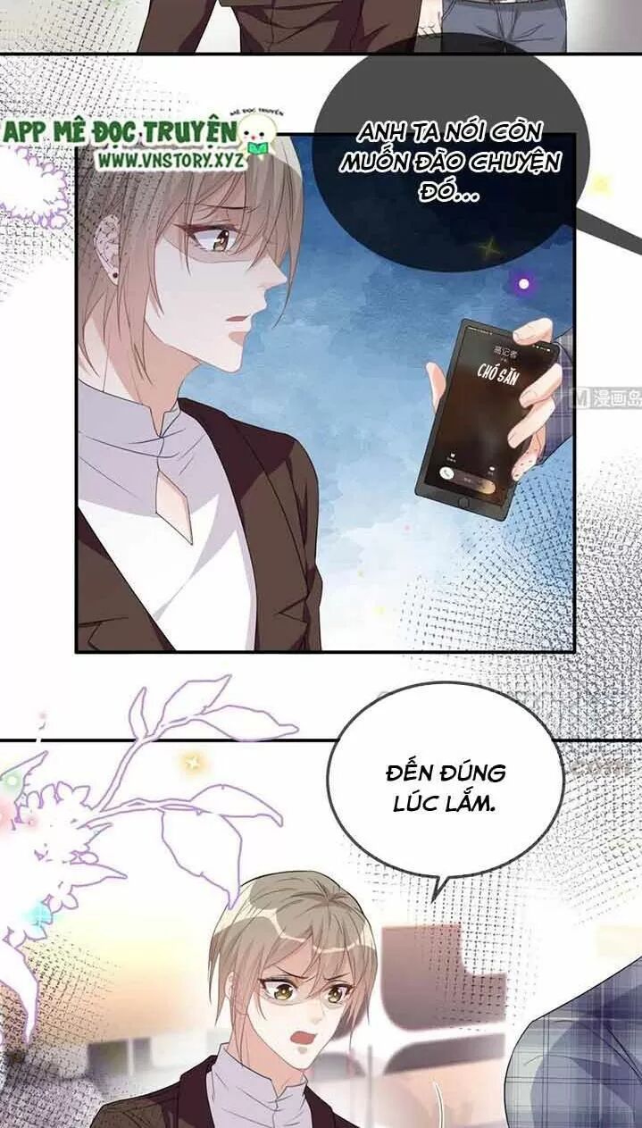 Ảnh Đế Làm Loạn Đòi Ly Hôn Chapter 41 - Trang 15