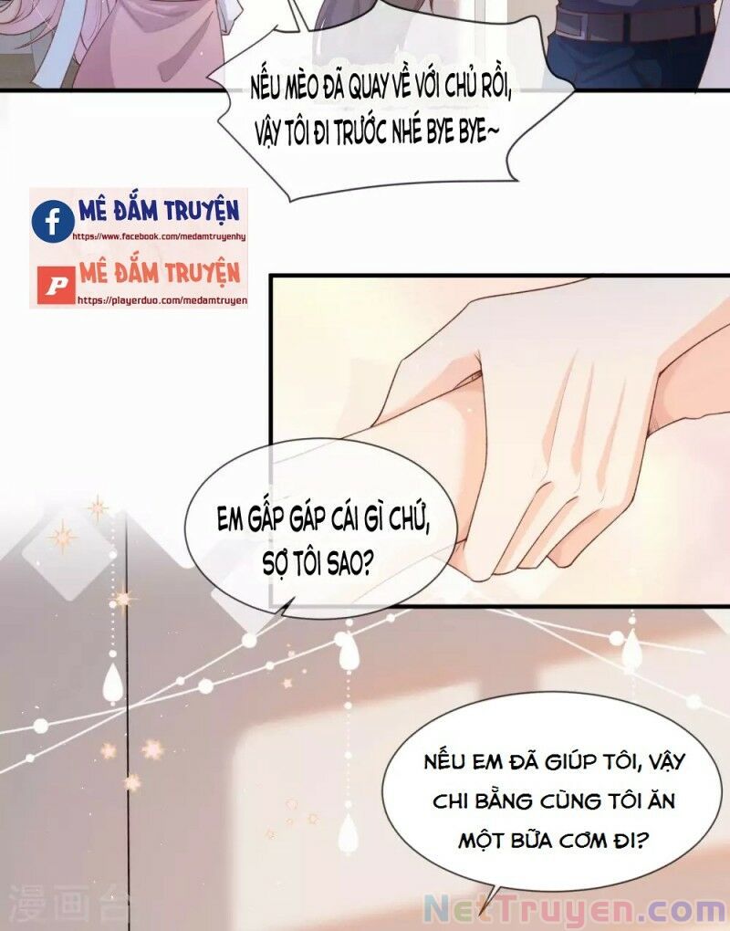 Lục Tổng, Vợ Anh Lại Lên Hot Search Rồi Chapter 4 - Trang 3