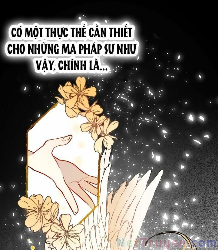 Xin Ngài Đừng Ăn Tôi Chapter 0 - Trang 24