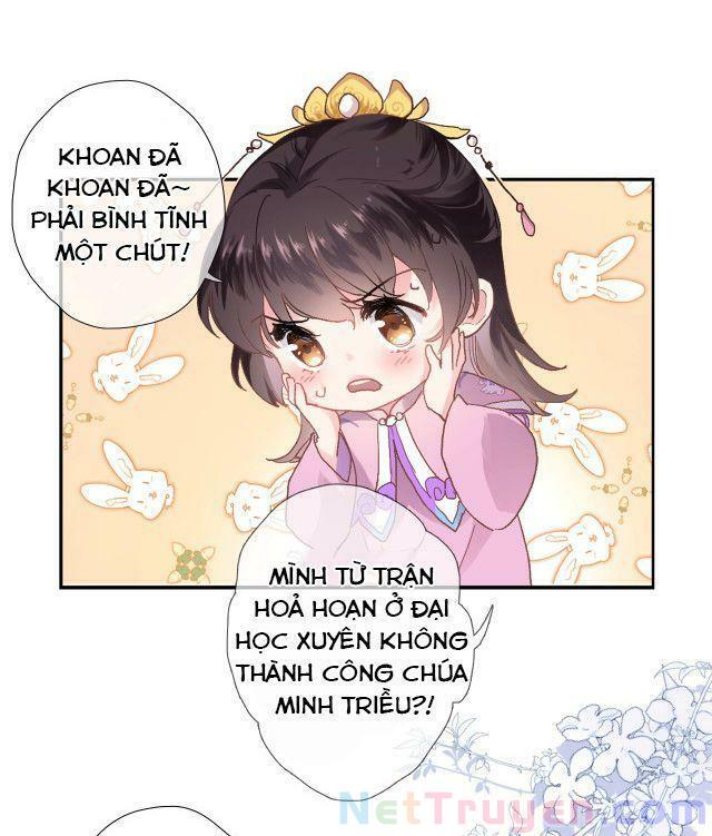 Xuyên Hành Thế Giới Chi Hoa Chapter 1 - Trang 36