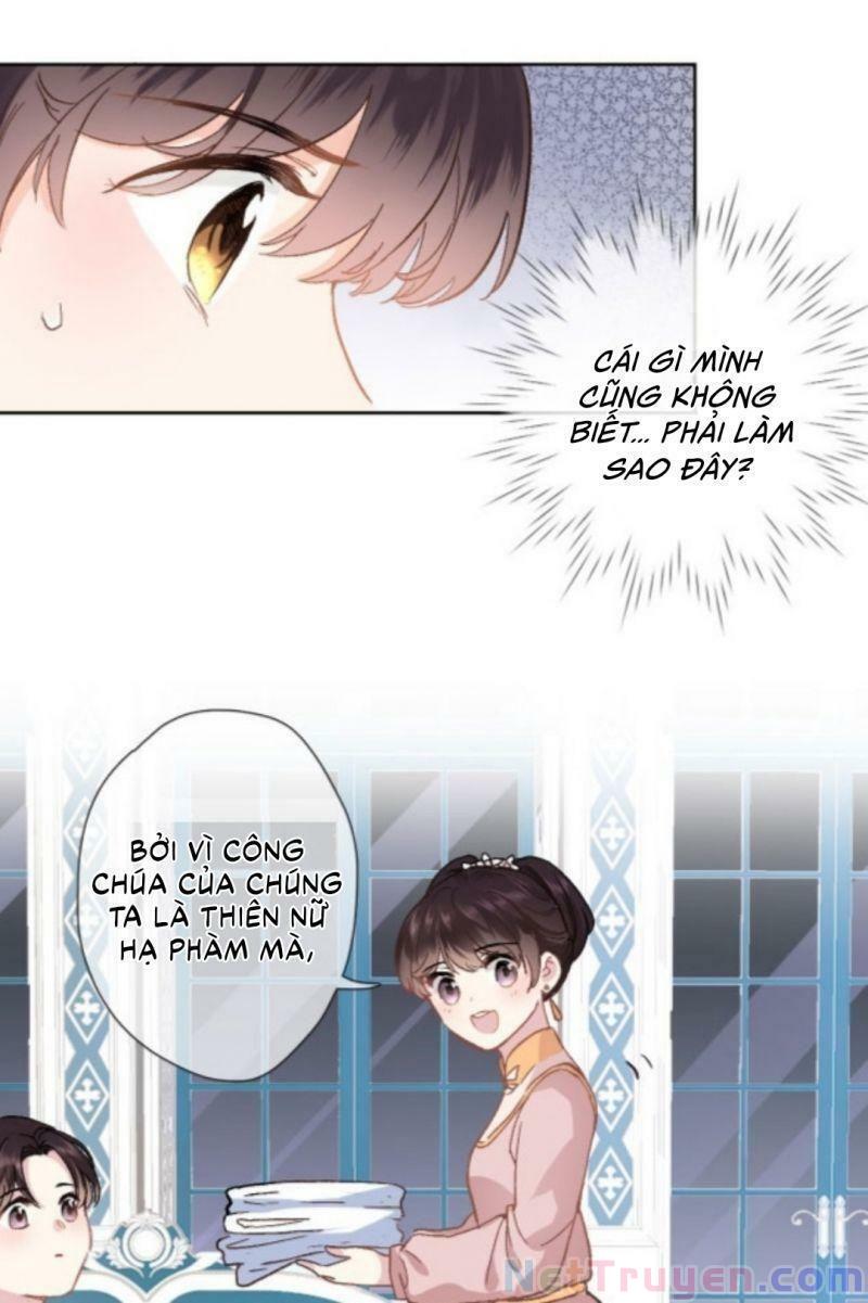 Xuyên Hành Thế Giới Chi Hoa Chapter 11 - Trang 25