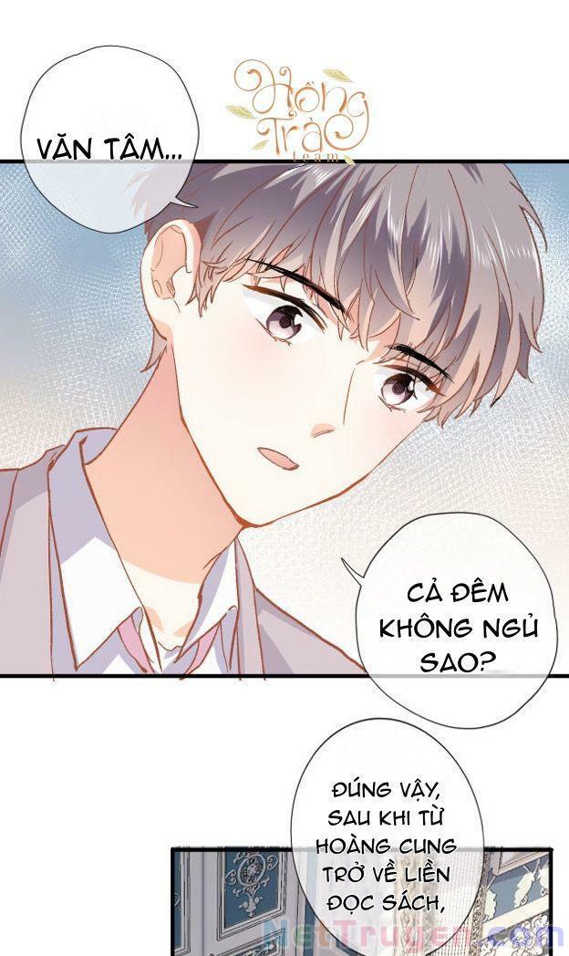 Xuyên Hành Thế Giới Chi Hoa Chapter 14 - Trang 2