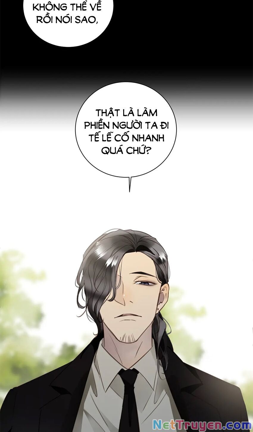 Tiên Sinh Nói Dối Chapter 38 - Trang 46