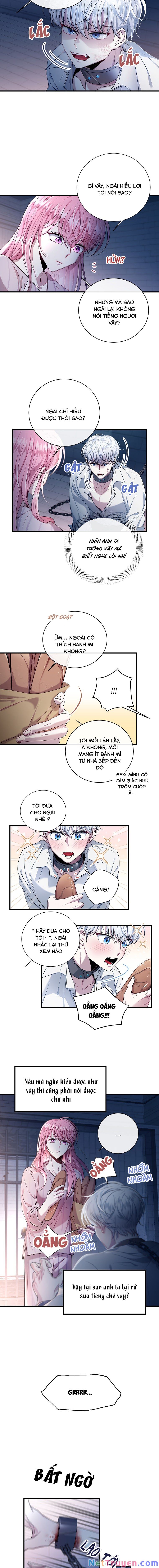 Tôi Đã Gặp Nam Chính Ở Trong Tù Chapter 3 - Trang 2