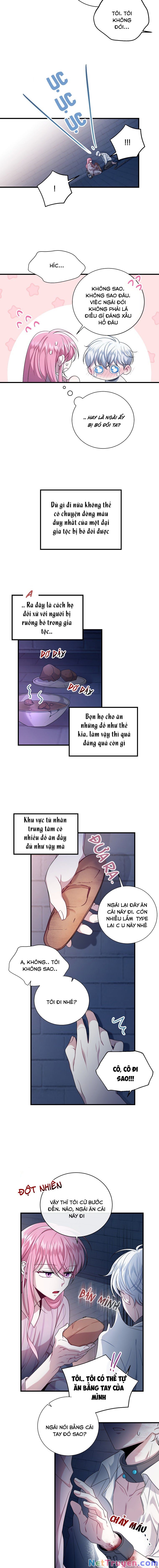 Tôi Đã Gặp Nam Chính Ở Trong Tù Chapter 3 - Trang 5