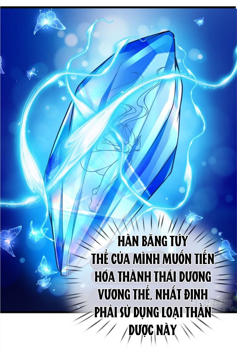 Bắt Đầu Với Chí Tôn Đan Điền Chapter 23 - Trang 10