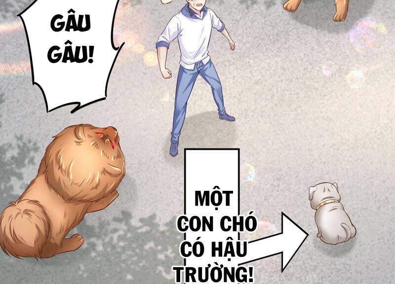 Siêu Năng Bất Lương Học Bá Chapter 7 - Trang 51