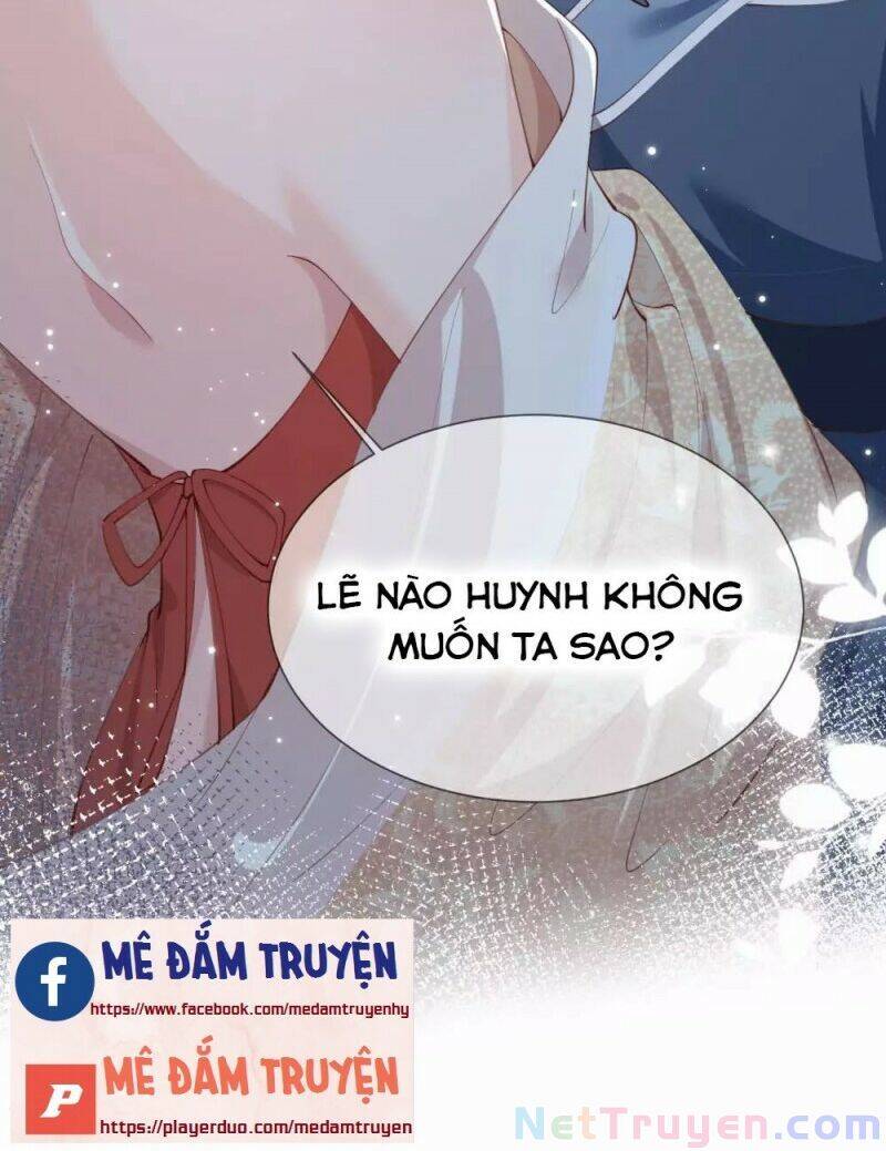 Lục Tổng, Vợ Anh Lại Lên Hot Search Rồi Chapter 11 - Trang 42