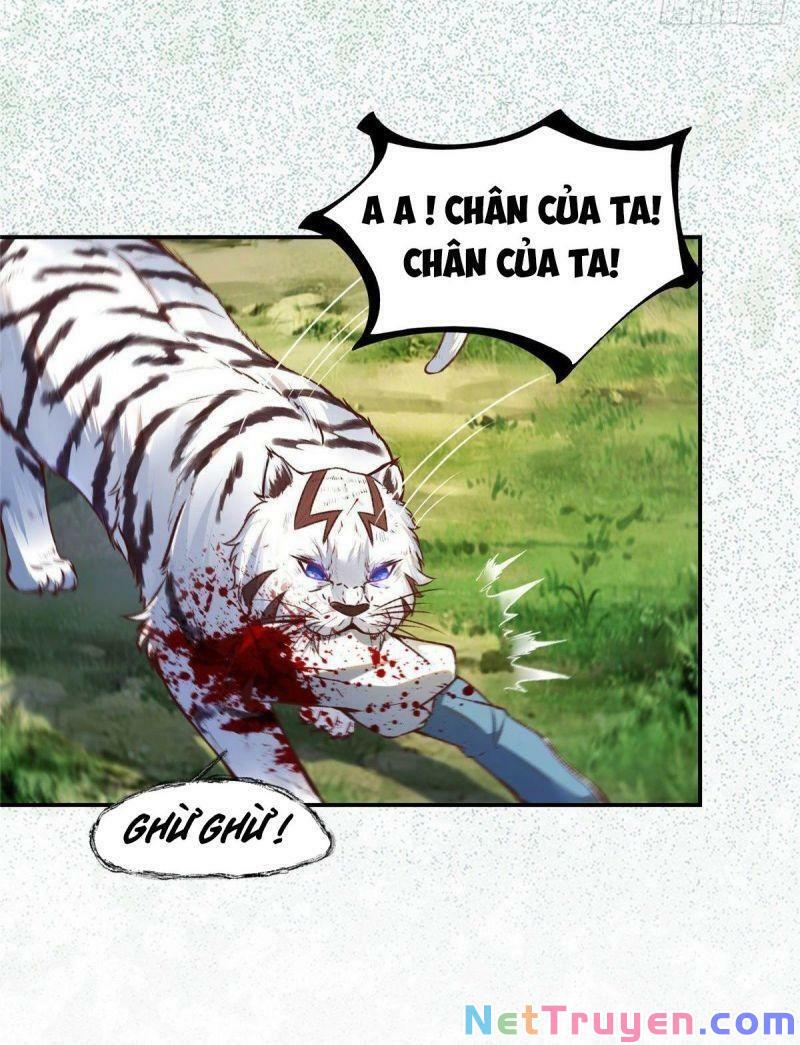 Nghịch Thiên Thần Phi Chí Thượng Chapter 4 - Trang 5