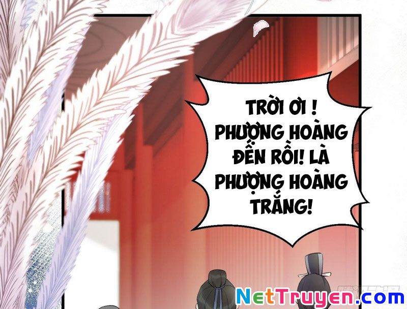 Lễ Băng Nhạc Phôi Chi Dạ Chapter 2 - Trang 26