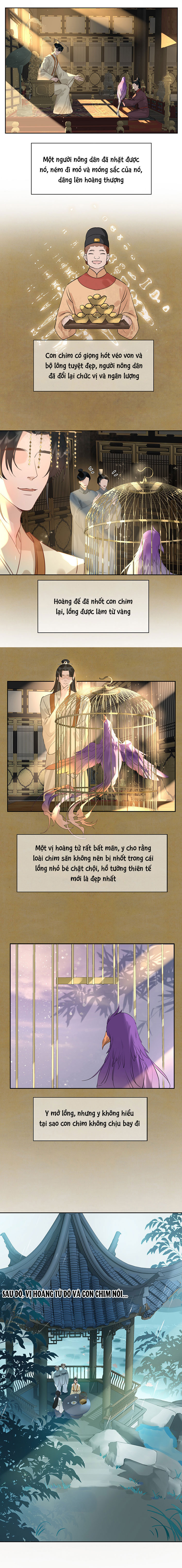 Tế Vũ Bất Tri Quy Chapter 8 - Trang 4