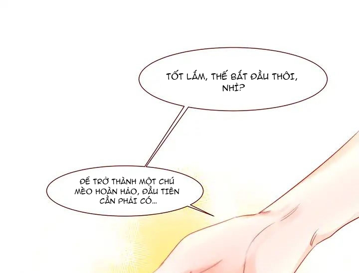 Chàng Mèo Trong Hộp Carton Chapter 1 - Trang 2