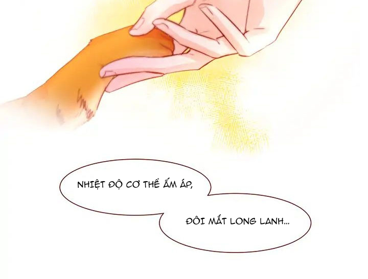 Chàng Mèo Trong Hộp Carton Chapter 1 - Trang 3