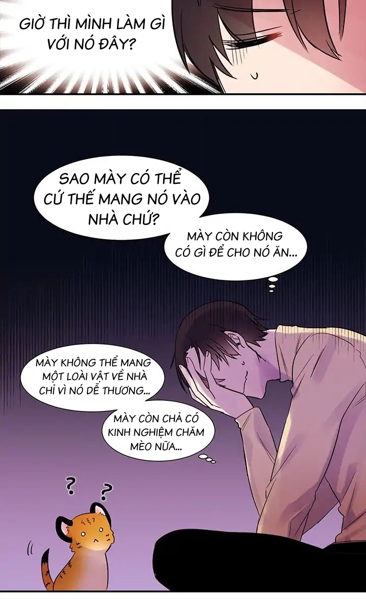 Chàng Mèo Trong Hộp Carton Chapter 1 - Trang 39