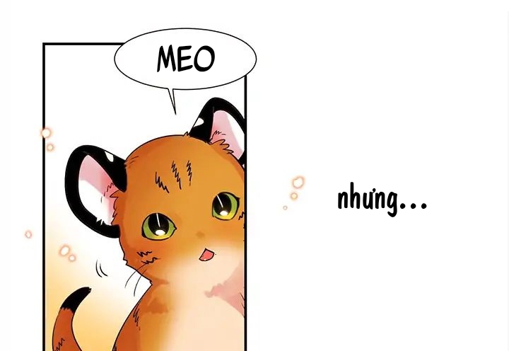 Chàng Mèo Trong Hộp Carton Chapter 1 - Trang 40