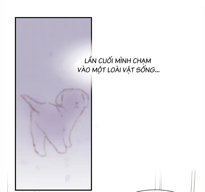 Chàng Mèo Trong Hộp Carton Chapter 1 - Trang 44