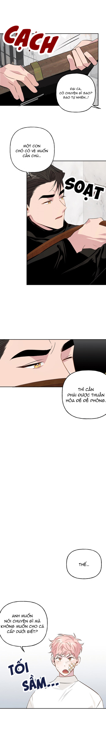 Cặp Đôi Điên Rồ Chapter 8 - Trang 9