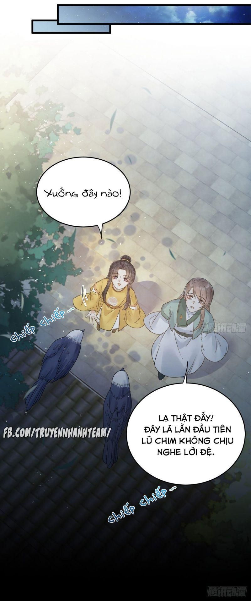 Lễ Băng Nhạc Phôi Chi Dạ Chapter 51 - Trang 11