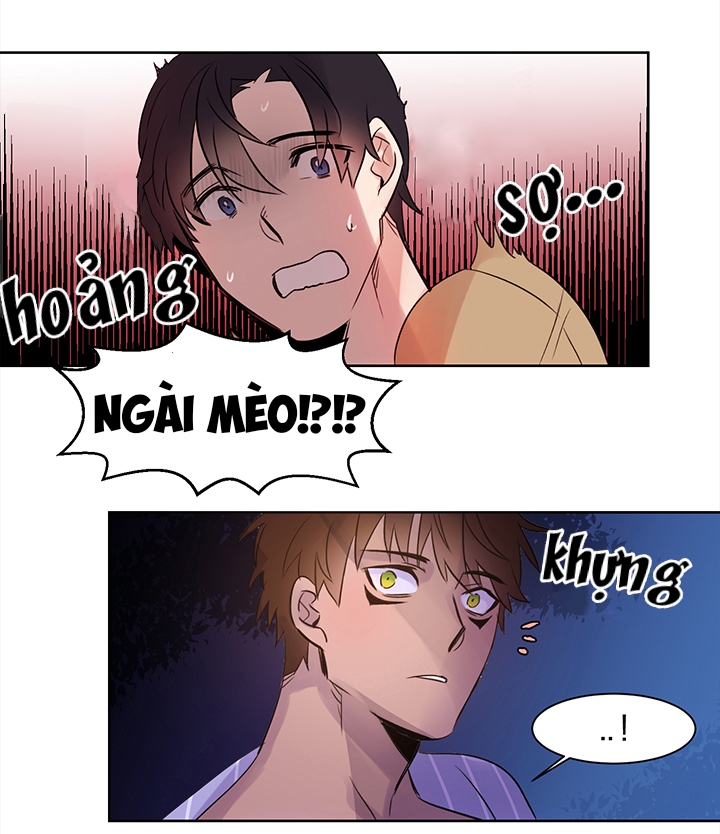 Chàng Mèo Trong Hộp Carton Chapter 3 - Trang 37