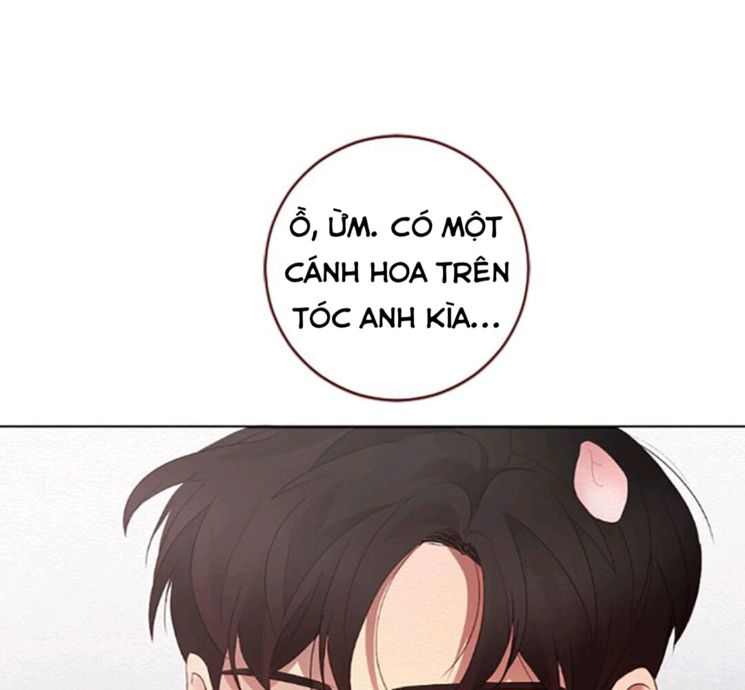 Thầm Yêu (Crush On You) Chapter 12 - Trang 23