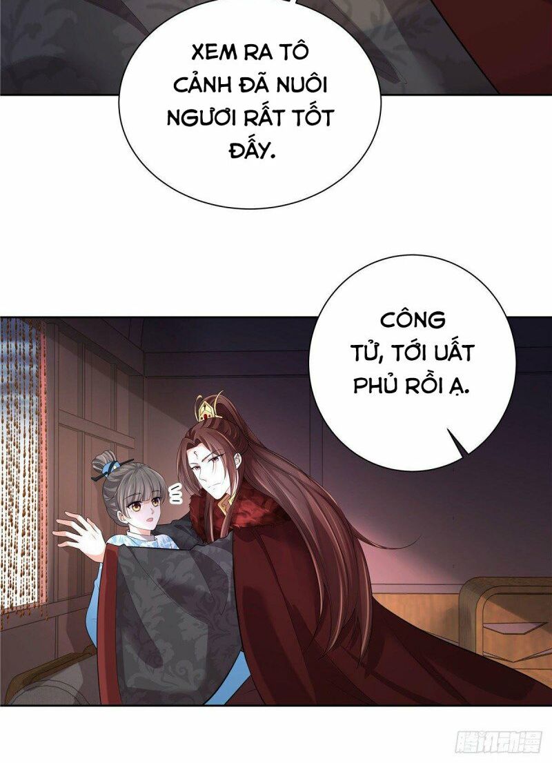 Thiếu Chủ Hung Dữ Quá Tôi Rất Thích Chapter 23 - Trang 7