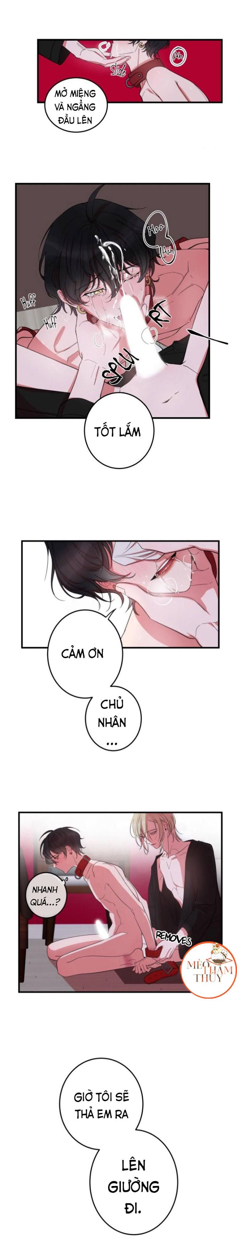 Khẩu Vị Và Sự Tôn Thờ Của Người Yêu Tôi Chapter 4 - Trang 12